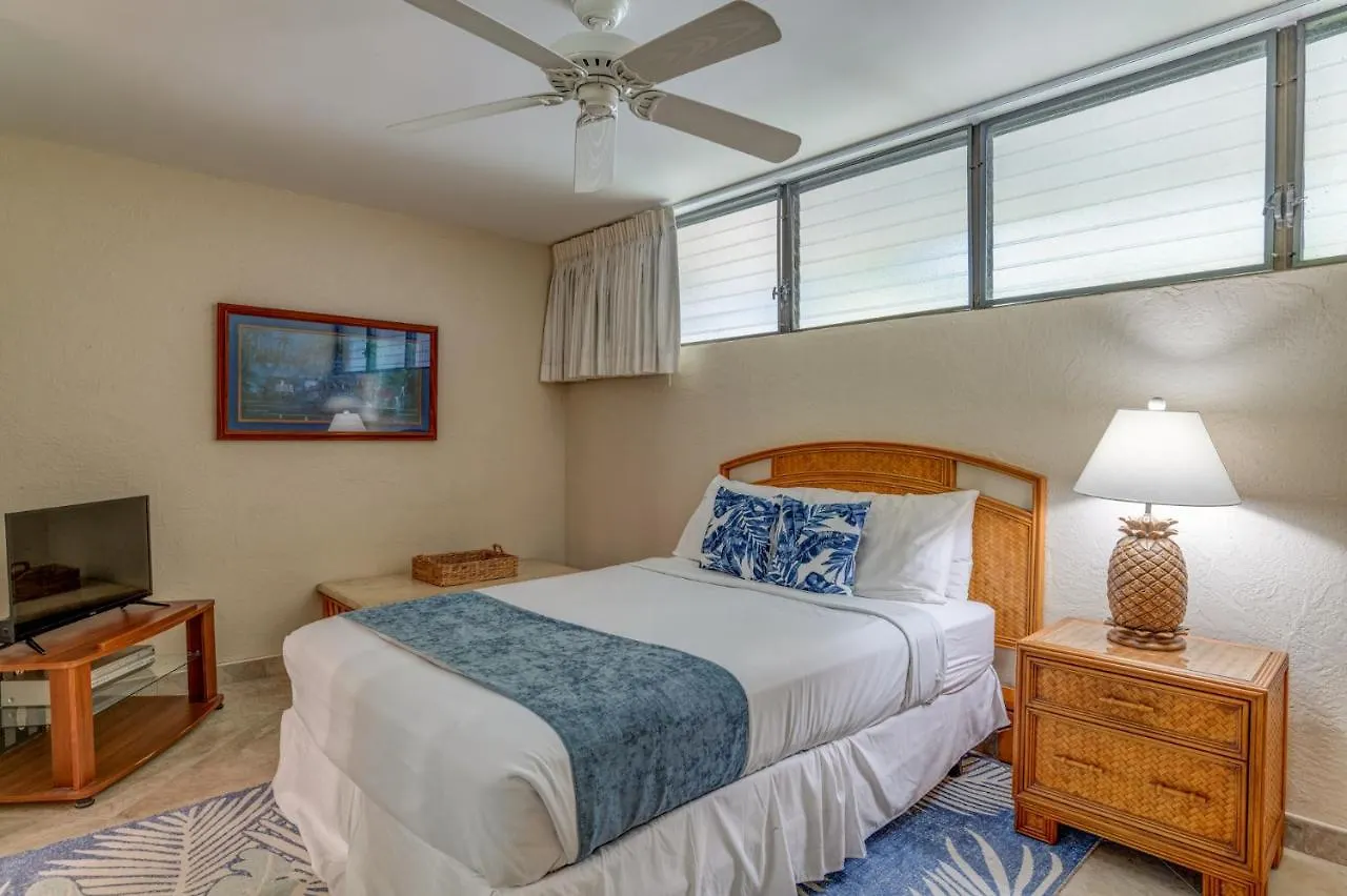 Papakea K305 Villa Kahana Holiday home